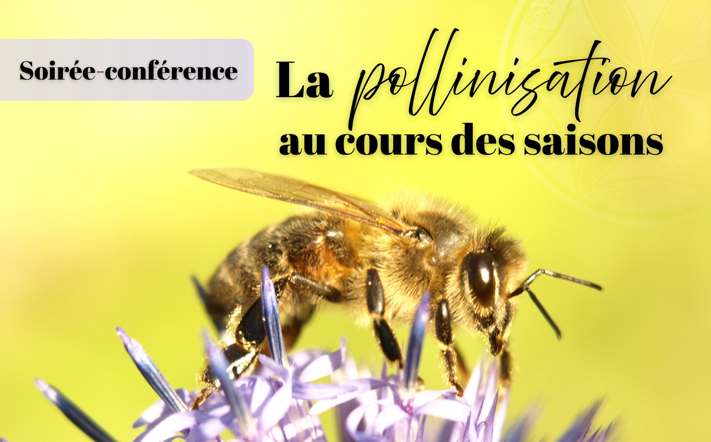 2026%20 %20conf%c3%a9rence%20pollinisation%20 %20copie
